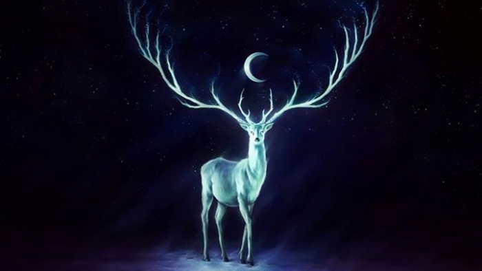antelope-dark-night-deer-moon-Favim.com-2501651